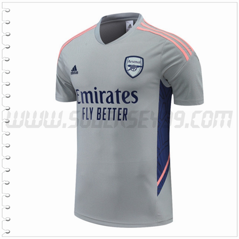 Camiseta Entrenamiento Arsenal Gris 2022 2023