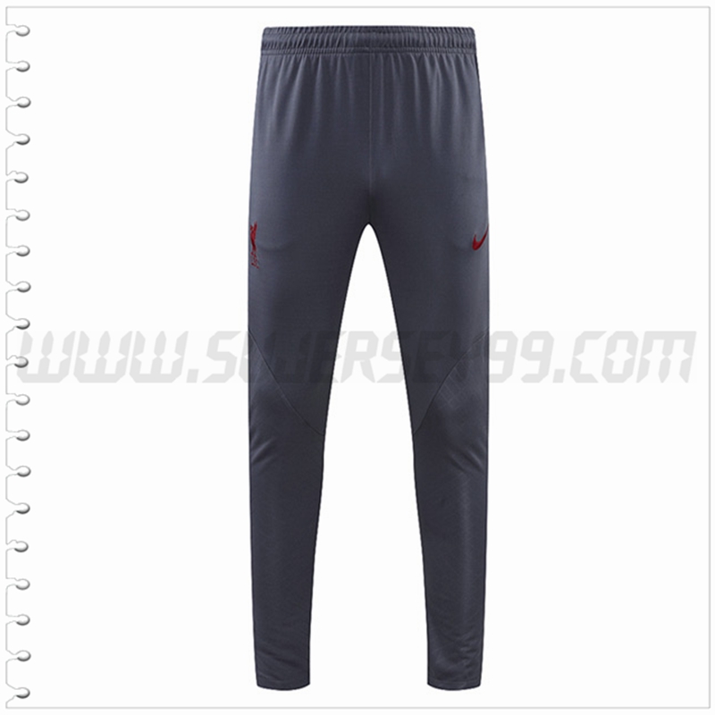 Pantalones Entrenamiento FC Liverpool Gris 2022 2023
