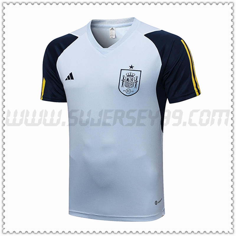Camiseta Entrenamiento España Cielo azul 2022 2023