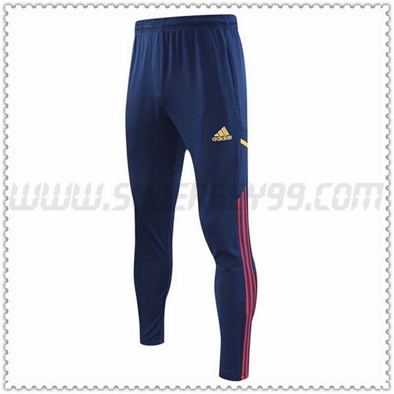 Pantalones Entrenamiento AFC Ajax Azul marino 2022 2023