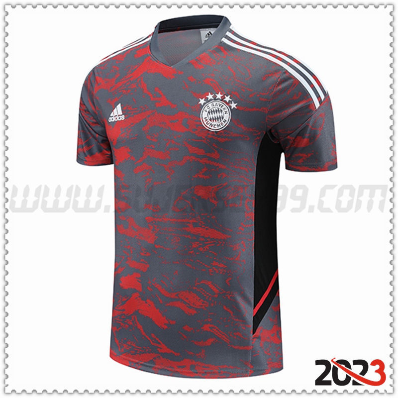 Camiseta Entrenamiento Bayern Munich Rojo/Gris 2023 2024