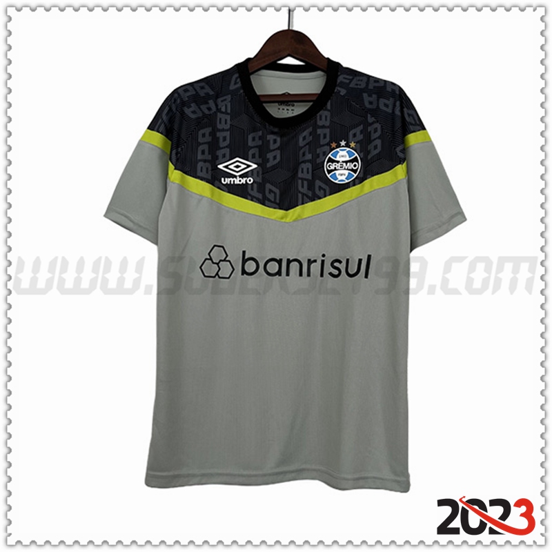 Camiseta Entrenamiento Gremio Gris 2023 2024