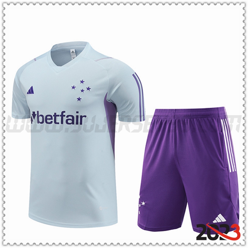Camiseta Entrenamiento + Cortos Cruzeiro Gris Claro 2023 2024