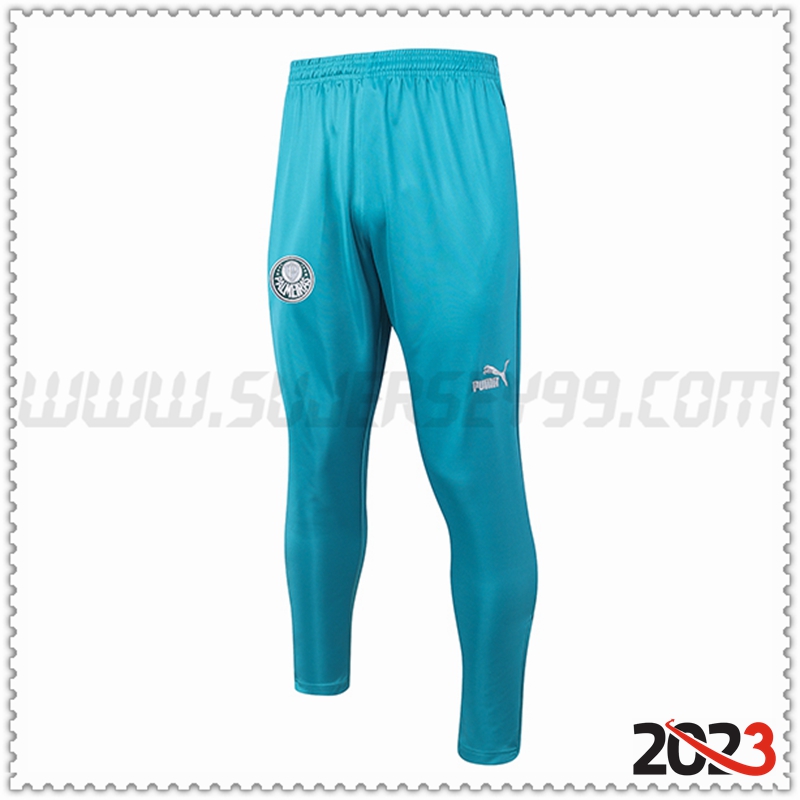 Pantalones Entrenamiento Palmeiras Verde 2023 2024 -03