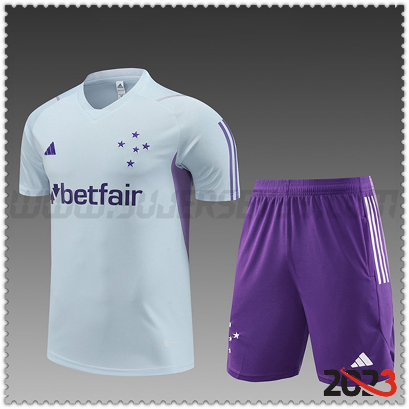 Camiseta Entrenamiento + Cortos Cruzeiro Ninos Gris Claro 2023 2024