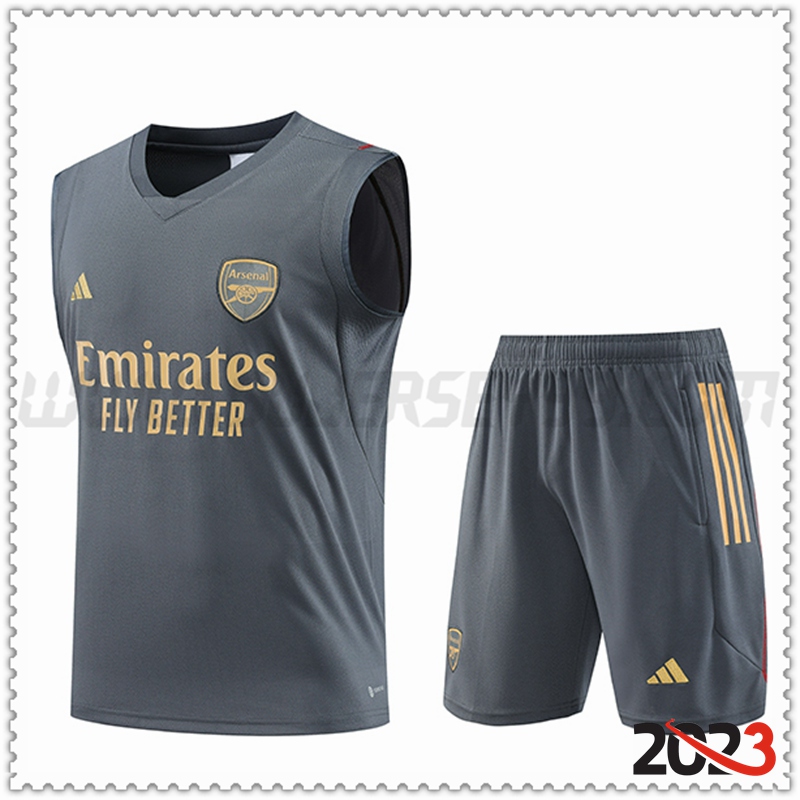 Camiseta Entrenamiento sin mangas + Cortos Arsenal Gris 2023 2024