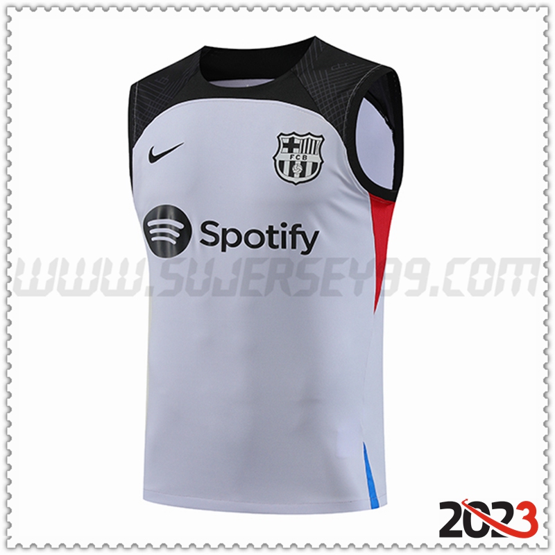 Chalecos De Futbol FC Barcelona Gris 2023 2024