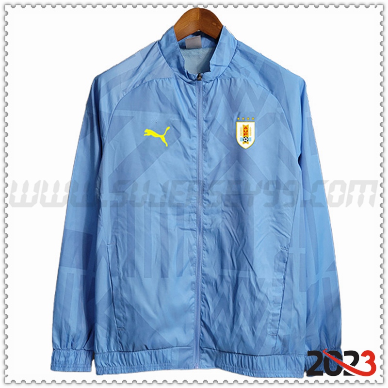Rompevientos Benfica Azul Claro 2023 2024