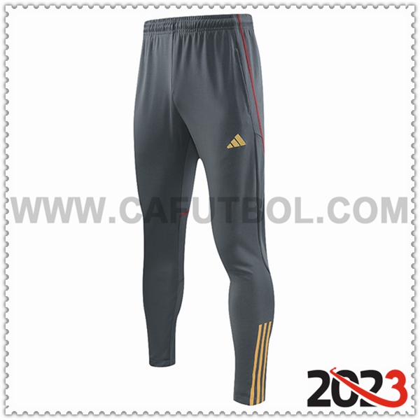 Pantalones Entrenamiento Arsenal Gris 2023 2024