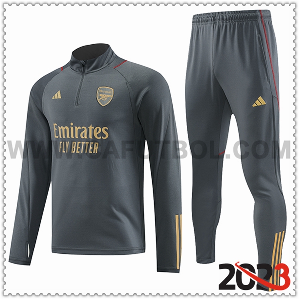 Chandal Futbol Arsenal Gris 2023 2024