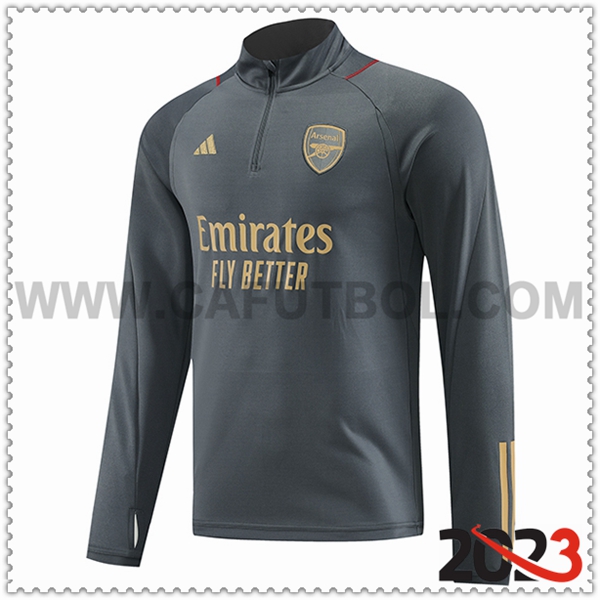 Sudadera Entrenamiento Arsenal Gris 2023 2024