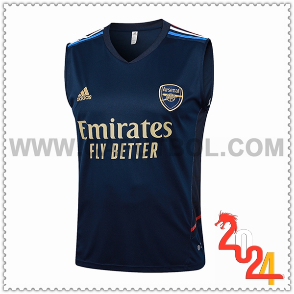 Chalecos De Futbol Arsenal Azul Oscuro 2024 2025