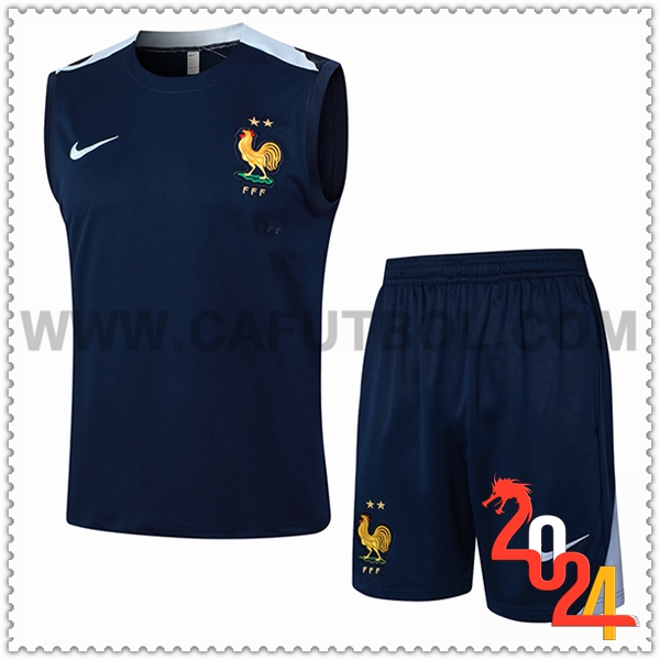 Camiseta Entrenamiento sin mangas Francia Azul Oscuro 2024 2025