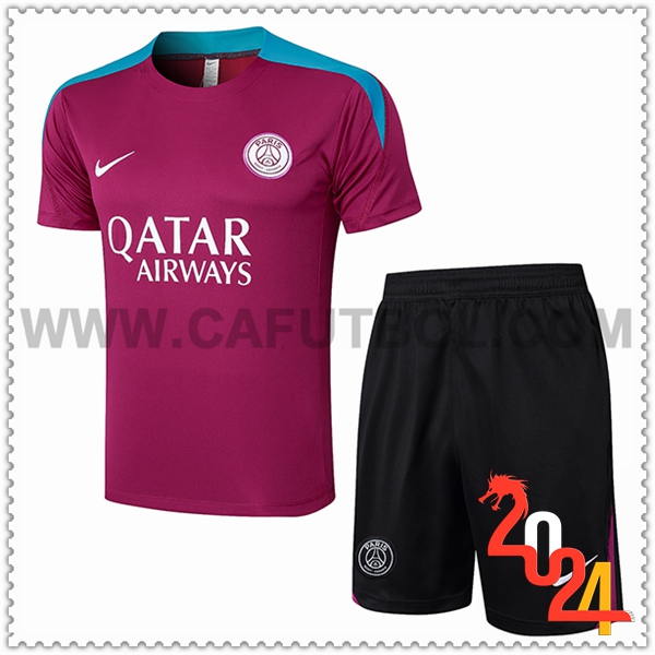 Camiseta Entrenamiento PSG Violeta/Azul 2024 2025