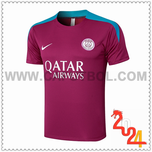 Camiseta Entrenamiento PSG Violeta/Azul 2024 2025