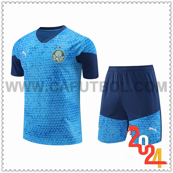 Camiseta Entrenamiento Palmeiras Azul 2024 2025