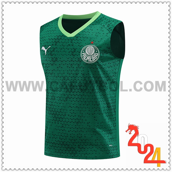 Chalecos de Futbol Palmeiras Verde 2024 2025