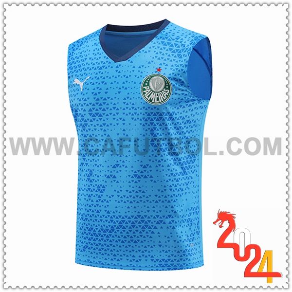 Chalecos de Futbol Palmeiras Azul 2024 2025