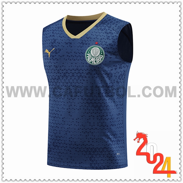 Chalecos de Futbol Palmeiras Azul marino 2024 2025