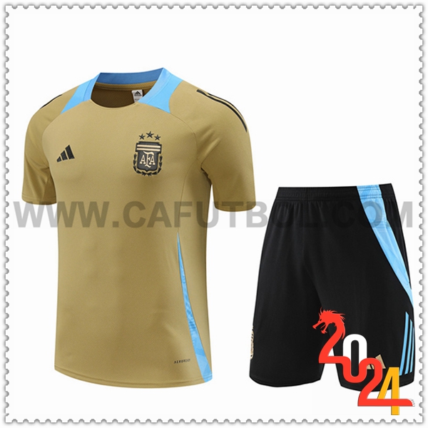Camiseta Entrenamiento Argentina Amarillo/Azul 2024 2025