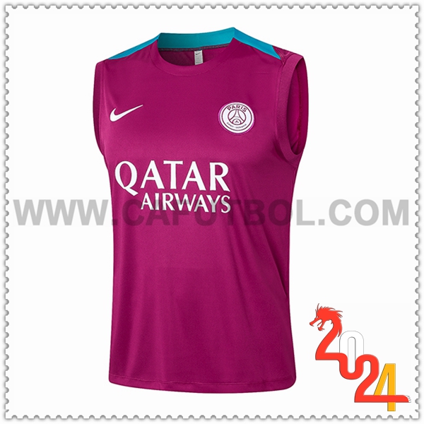 Chalecos de Futbol PSG Violeta 2024 2025