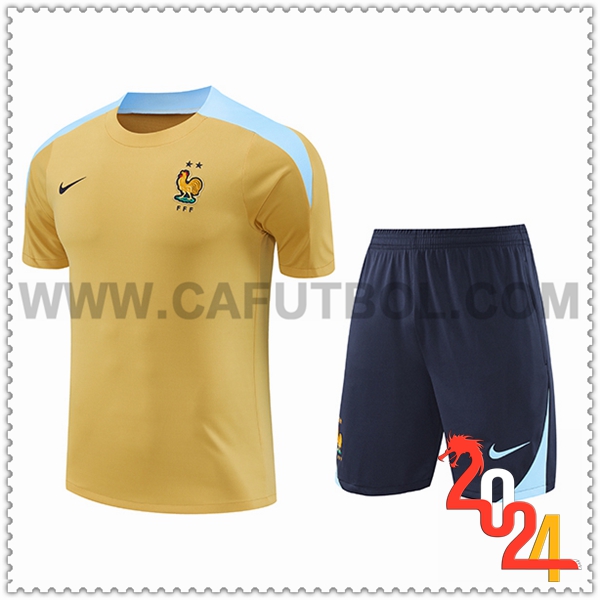 Camiseta Entrenamiento Francia Amarillo/Azul 2024 2025