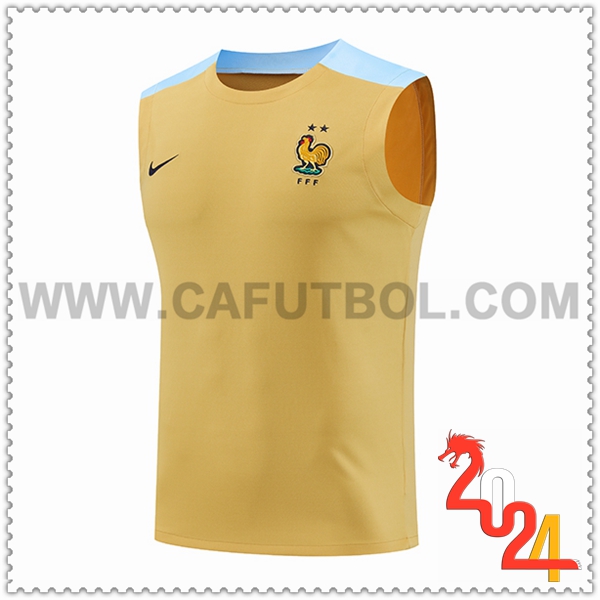 Chalecos De Futbol Francia Amarillo/Azul 2024 2025