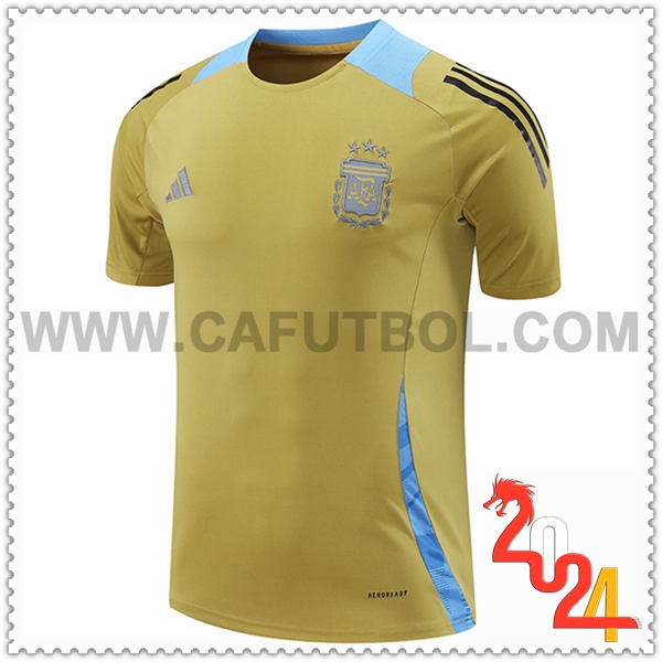 Camiseta Entrenamiento Argentina Amarillo/Azul 2024 2025