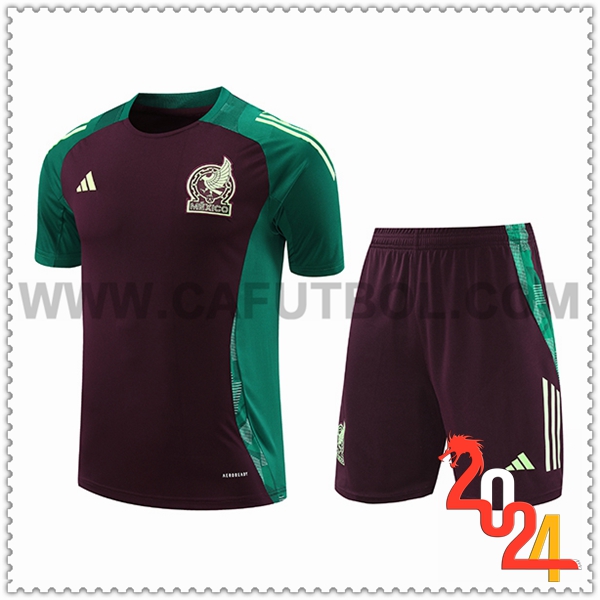 Camiseta Entrenamiento México Verde/Marrón 2024 2025