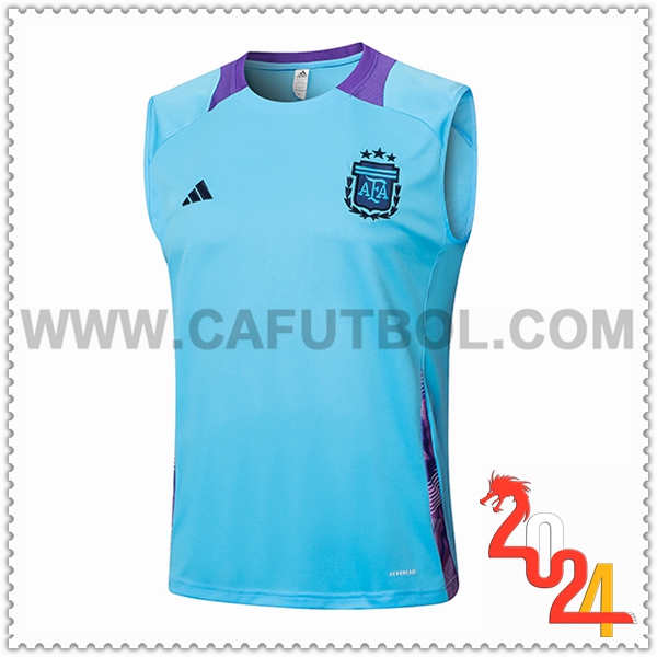 Chalecos De Futbol Argentina Azul/Violeta 2024 2025