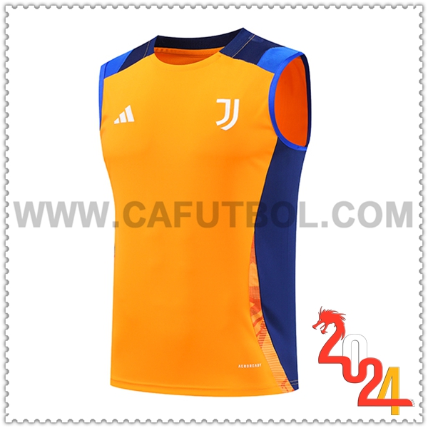 Chalecos De Futbol Juventus Naranja/Azul 2024 2025
