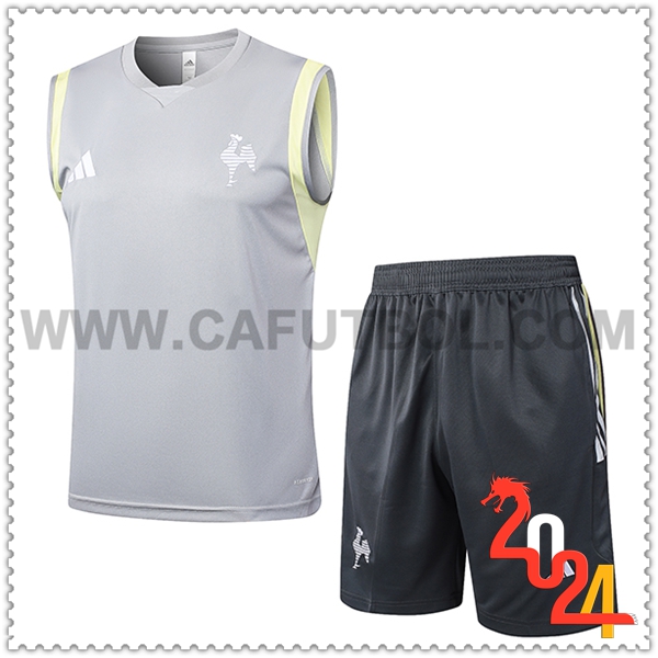 Camiseta Entrenamiento sin mangas Atletico Mineir Gris Claro 2024 2025