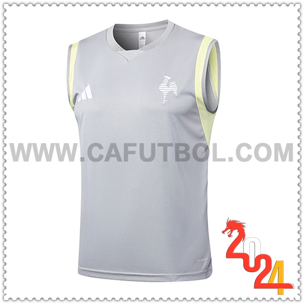 Chalecos De Futbol Atletico Mineir Gris Claro 2024 2025