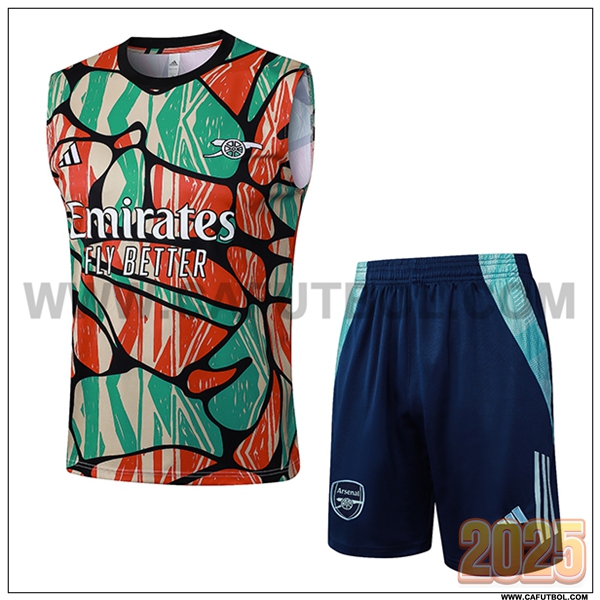 Camiseta Entrenamiento sin mangas Arsenal Rojo/Verde/Beige 2025 2026