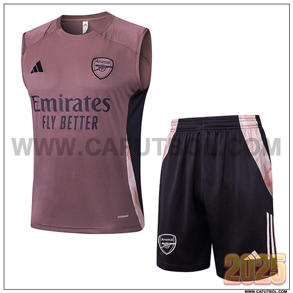 Camiseta Entrenamiento sin mangas Arsenal Violeta/Negro 2025 2026