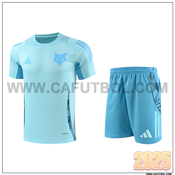 Camiseta Entrenamiento Cruzeiro Azul Claro 2025 2026
