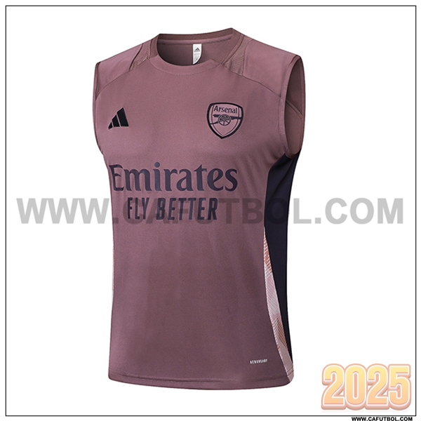 Chalecos De Futbol Arsenal Violeta/Negro 2025 2026