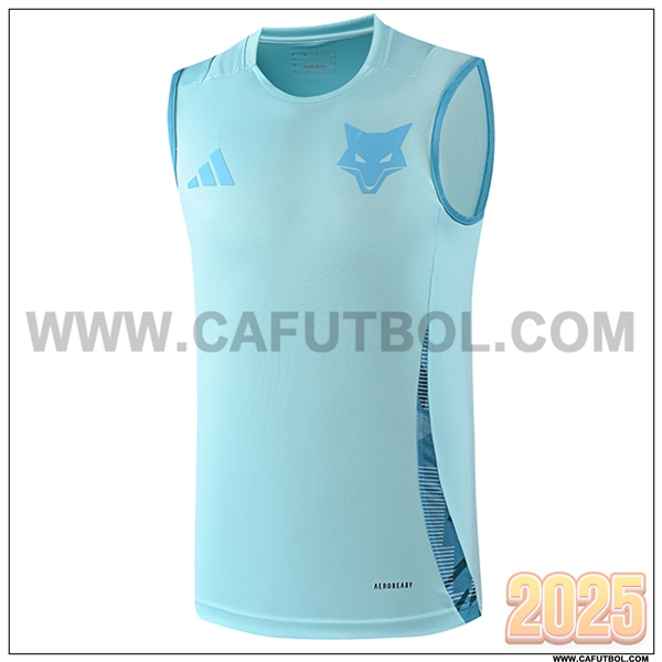 Chalecos De Futbol Cruzeiro Azul Claro 2025 2026