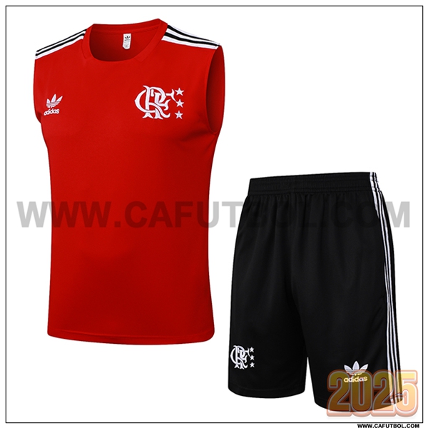 Camiseta Entrenamiento sin mangas Flamengo Rojo 2025 2026