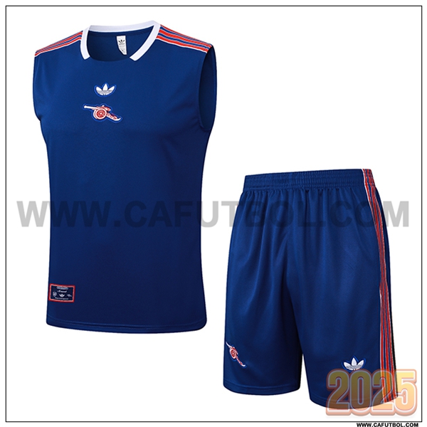 Camiseta Entrenamiento sin mangas Arsenal Azul/Rojo 2025 2026