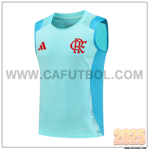 Chalecos De Futbol Flamengo Verde/Azul 2025 2026