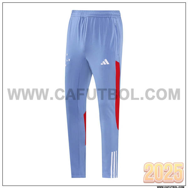 Pantalones Entrenamiento Cruzeiro Gris/Rojo 2025 2026