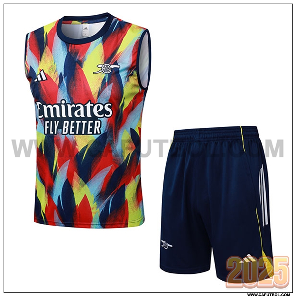 Camiseta Entrenamiento sin mangas Arsenal Rojo/Azul/Amarillo 2025 2026