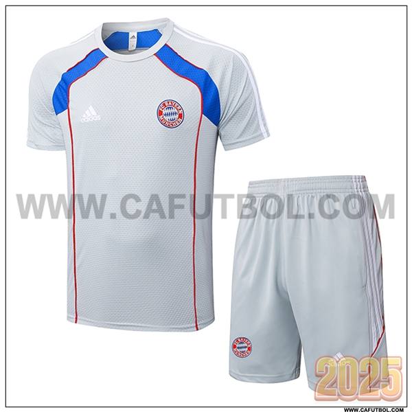 Camiseta Entrenamiento Bayern Munich Gris/Rojo/Azul 2025 2026