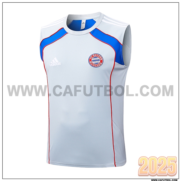 Chalecos De Futbol Bayern Munich Gris/Rojo/Azul 2025 2026
