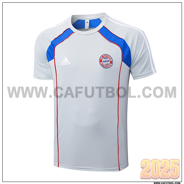 Camiseta Entrenamiento Bayern Munich Gris/Rojo/Azul 2025 2026