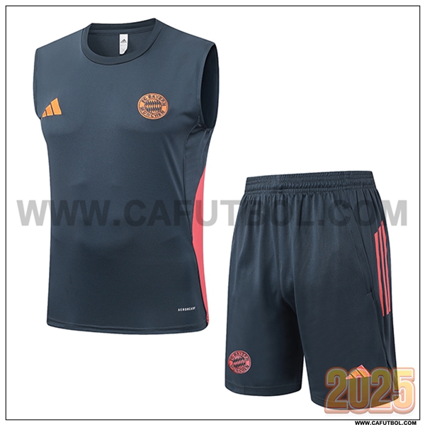 Camiseta Entrenamiento sin mangas Bayern Munich Gris/Naranja 2025 2026