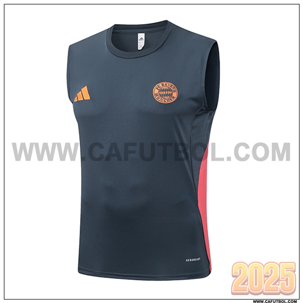 Chalecos De Futbol Bayern Munich Gris/Naranja 2025 2026