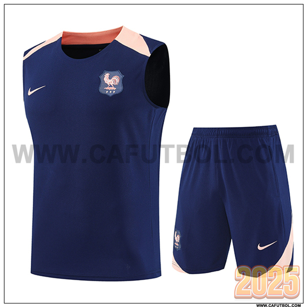Camiseta Entrenamiento sin mangas Francia Azul/Rosa 2025 2026