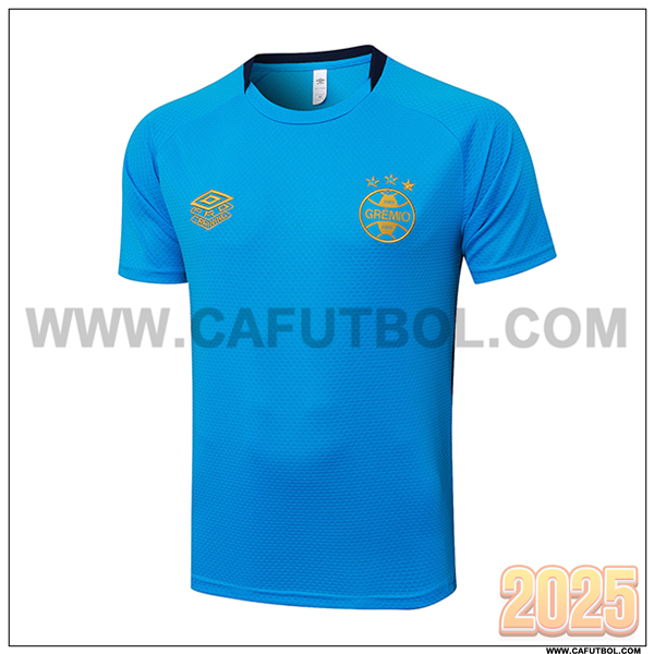 Camiseta Entrenamiento Gremio Azul 2025 2026